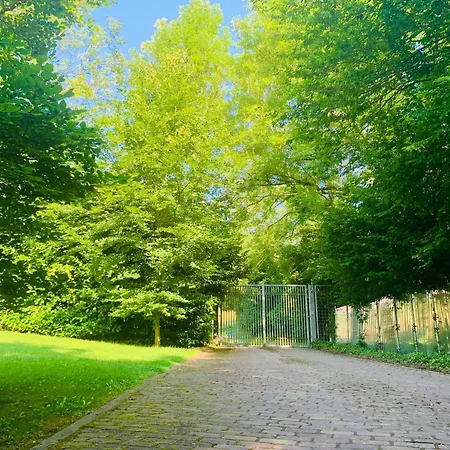 Dom wakacyjny Grey House *