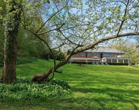 Grey House Olne